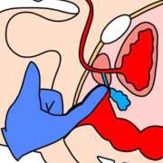 ヒメ日記 2026/03/10 01:19 投稿 立花 ゆうひ 癒しの円環～Art of Massage～五反田