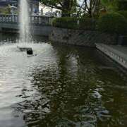 ゆか 癒されました 新宿ミセスラウンジ東京