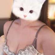 ヒメ日記 2026/05/14 11:18 投稿 えみ カワサキEROTIC（ソープランド）
