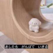 ヒメ日記 2026/06/01 16:49 投稿 えみ カワサキEROTIC（ソープランド）
