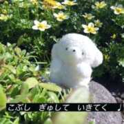 ヒメ日記 2026/06/20 18:35 投稿 えみ カワサキEROTIC（ソープランド）