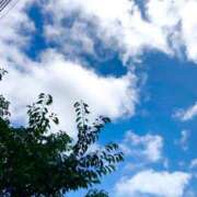 ヒメ日記 2025/08/09 09:05 投稿 蛍【ホタル】 輝女