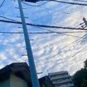 ヒメ日記 2025/08/19 06:46 投稿 蛍【ホタル】 輝女