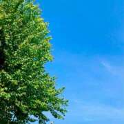 ヒメ日記 2025/08/23 10:25 投稿 蛍【ホタル】 輝女