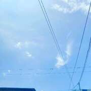 ヒメ日記 2025/08/25 07:23 投稿 蛍【ホタル】 輝女