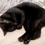 ヒメ日記 2025/09/14 13:10 投稿 蛍【ホタル】 輝女