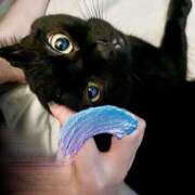 ヒメ日記 2025/09/24 17:52 投稿 蛍【ホタル】 輝女