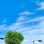 ヒメ日記 2025/09/25 16:53 投稿 蛍【ホタル】 輝女