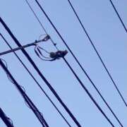 ヒメ日記 2026/01/16 07:16 投稿 蛍【ホタル】 輝女