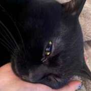 ヒメ日記 2026/01/23 08:46 投稿 蛍【ホタル】 輝女