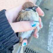 ヒメ日記 2026/01/24 12:45 投稿 蛍【ホタル】 輝女