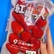 ヒメ日記 2026/01/28 10:48 投稿 蛍【ホタル】 輝女