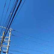 ヒメ日記 2026/01/31 08:30 投稿 蛍【ホタル】 輝女