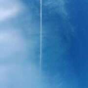 ヒメ日記 2026/02/20 07:19 投稿 蛍【ホタル】 輝女