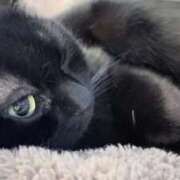 ヒメ日記 2026/02/21 19:45 投稿 蛍【ホタル】 輝女