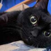 ヒメ日記 2026/03/23 07:20 投稿 蛍【ホタル】 輝女