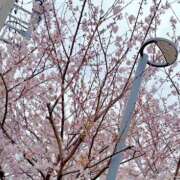 ヒメ日記 2026/04/01 17:05 投稿 蛍【ホタル】 輝女