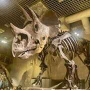 ヒメ日記 2026/04/02 15:58 投稿 蛍【ホタル】 輝女