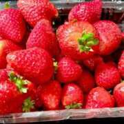 ヒメ日記 2026/04/04 11:43 投稿 蛍【ホタル】 輝女