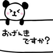 ヒメ日記 2026/02/12 15:07 投稿 ちえみ ハピネス東京