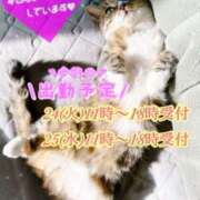 ヒメ日記 2026/03/23 10:32 投稿 あすな 完熟ばなな川崎