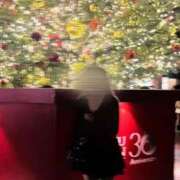 ヒメ日記 2025/11/23 22:24 投稿 綾瀬むむ 奴隷志願！変態調教飼育クラブ本店