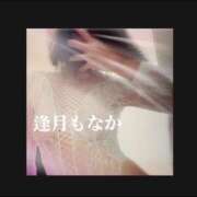 ヒメ日記 2025/09/20 11:38 投稿 逢月もなか(あいづきもなか) 五十路マダムエクスプレス厚木店(カサブランカグループ)