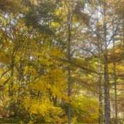 ヒメ日記 2025/11/06 22:12 投稿 逢月もなか(あいづきもなか) 五十路マダムエクスプレス厚木店(カサブランカグループ)