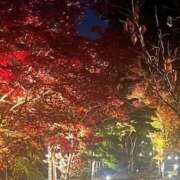 ヒメ日記 2025/12/02 13:08 投稿 逢月もなか(あいづきもなか) 五十路マダムエクスプレス厚木店(カサブランカグループ)