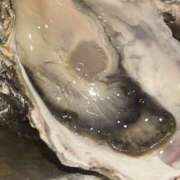 ヒメ日記 2026/01/29 11:54 投稿 逢月もなか(あいづきもなか) 五十路マダムエクスプレス厚木店(カサブランカグループ)