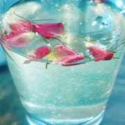 ヒメ日記 2026/02/15 13:54 投稿 逢月もなか(あいづきもなか) 五十路マダムエクスプレス厚木店(カサブランカグループ)