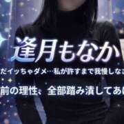 逢月もなか(あいづきもなか) 透明の濾過 五十路マダムエクスプレス厚木店(カサブランカグループ)