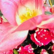 ヒメ日記 2026/03/11 20:40 投稿 逢月もなか(あいづきもなか) 五十路マダムエクスプレス厚木店(カサブランカグループ)