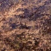 ヒメ日記 2026/04/04 02:08 投稿 逢月もなか(あいづきもなか) 五十路マダムエクスプレス厚木店(カサブランカグループ)