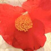 ヒメ日記 2026/04/09 19:18 投稿 逢月もなか(あいづきもなか) 五十路マダムエクスプレス厚木店(カサブランカグループ)