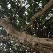 ヒメ日記 2026/04/22 10:26 投稿 逢月もなか(あいづきもなか) 五十路マダムエクスプレス厚木店(カサブランカグループ)