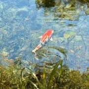 青空　もね かなしい😿 妄想する女学生たち 梅田校