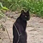 ヒメ日記 2025/09/13 16:56 投稿 ゆりな 茨城龍ヶ崎取手ちゃんこ