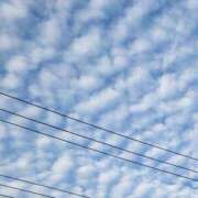 ヒメ日記 2025/09/22 19:56 投稿 ゆりな 茨城龍ヶ崎取手ちゃんこ