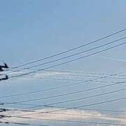 ヒメ日記 2025/09/26 18:56 投稿 ゆりな 茨城龍ヶ崎取手ちゃんこ