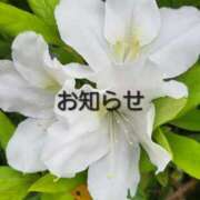 ヒメ日記 2025/09/29 10:08 投稿 ゆりな 茨城龍ヶ崎取手ちゃんこ