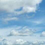 ヒメ日記 2025/10/18 15:46 投稿 ゆりな 茨城龍ヶ崎取手ちゃんこ