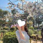 ヒメ日記 2026/03/30 03:01 投稿 ひなの シャブール