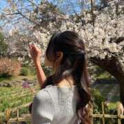 ヒメ日記 2026/04/10 09:25 投稿 ひなの シャブール