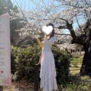 ヒメ日記 2026/04/13 14:11 投稿 ひなの シャブール