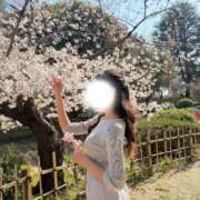 ヒメ日記 2026/04/13 15:12 投稿 ひなの シャブール