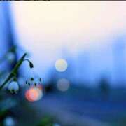 ヒメ日記 2025/09/09 15:40 投稿 みたけ 奥鉄オクテツ神奈川店（デリヘル市場グループ）