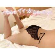 ヒメ日記 2025/11/09 02:40 投稿 かなの オレンジハウス