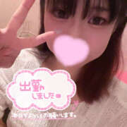 ヒメ日記 2025/08/26 09:17 投稿 つばめ 土浦ハッピーマットパラダイス