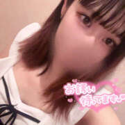 つばめ 待機中です😭😭 土浦ハッピーマットパラダイス